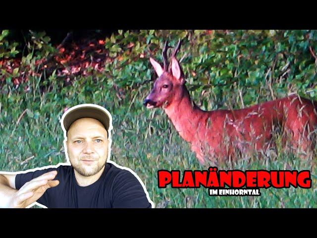 PLANÄNDERUNG im Einhorntal; es geht in den Bestand  / RevierLeben // Vlog 64