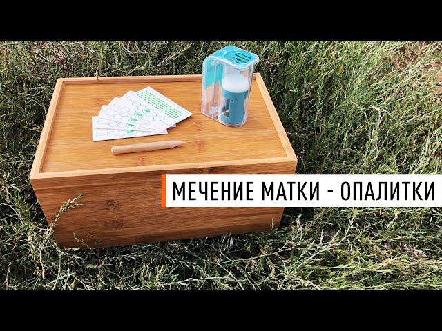 Мечение матки при помощи опалиток - Парк Плюс