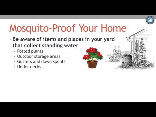 Mosquito Prevention Tips