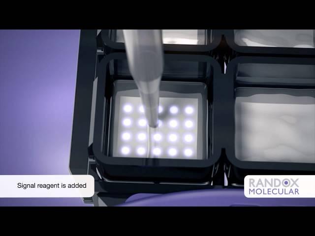 Molecular | Randox STI Multiplex Array | Randox Biosciences