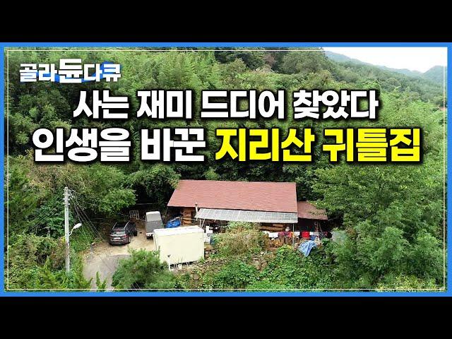 지리산 산골에 집을 지었더니 내 인생이 달라졌다. 자연산 송이 버섯 따먹으며 자유롭게 사는 자연인｜지리산 귀틀집｜한국기행｜#골라듄다큐