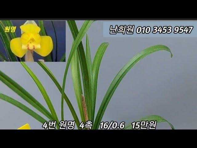 12월20일 대대로등 입실 추천작  소개합니다.