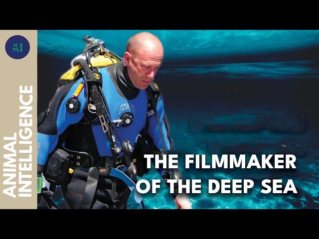 What the experienced underwater filmmaker has captured | AI | FULL DOCUMENTARY