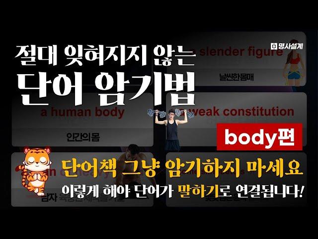 영어 INPUT의 정석: "명사"가 아니라 "명사구"로 입력하라 [body편]