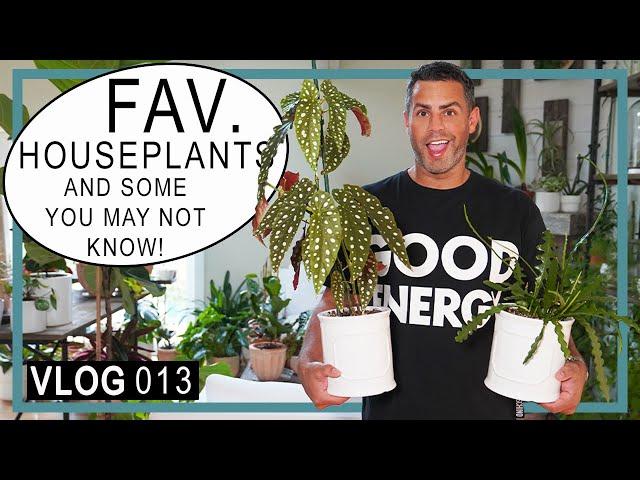 Houseplant Trends 2022 : My FAV! Houseplants and Some You May Not Know (VLOG 012) #BestHouseplants