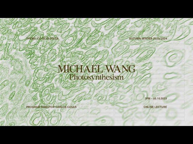 Michael Wang, artist (Usa)