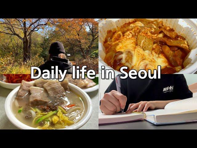 Vlogㅣ가을 일상ㅣ을지로 맛집 대련집 칼국수 보쌈ㅣ 광장시장 꽈배기, 엽떡ㅣ등산가기ㅣ낙엽으로 책갈피 만들기ㅣ독서하기