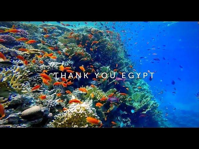 Egipt - dziękujemy | Hurghada, snorkeling, Luksor