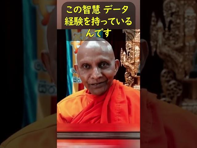 Don't let words distort your experience #Venerable Sumedha #Early Buddhism #Non-attachment #Medit...