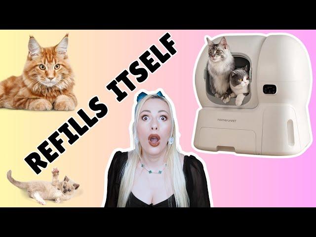 Biggest Self-cleaning Litter Box in THE WORLD! homerunPET Smart Cat Litter Box auto-refilling litter
