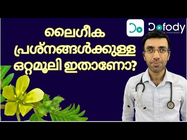 ഉദ്ധാരണത്തിനുള്ള ഒറ്റമൂലി  Tribulus terrestris: Does It Really Boost Testosterone? 🩺 Malayalam