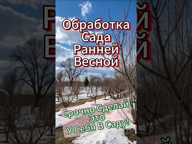 Весенняя Обработка Сада: Защита От Болезней и Вредителей – Простые Шаги К Богатому Урожаю!