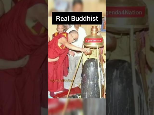 Fake Buddhist and Real Buddhist #buddhism #hindu #hinduism #sanatandharma #shorts