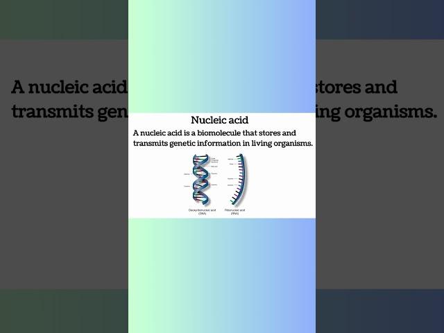 Nucleic Acid #science #biochemic #atomicstructure #biochemistrymcq #viralshort #viralvideo