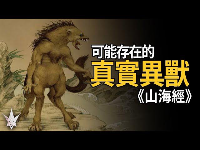 《山海經》可能存在的真實異獸，原型在現實世界也是稀有物種，牠們並不是古人憑空想像出來。