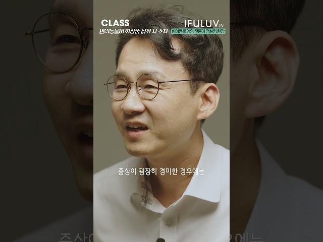 반려동물이 화장품 섭취시 증상과 대처법?  [IFULUV이퓨럽] CLASS16 (FEAT. #반려동물영양 전문 수의사 정설령 원장 #반려동물건강 #반려묘 #반려견 #화장품