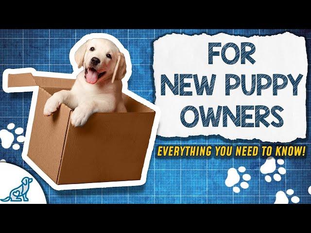 The Puppy Training Blueprint