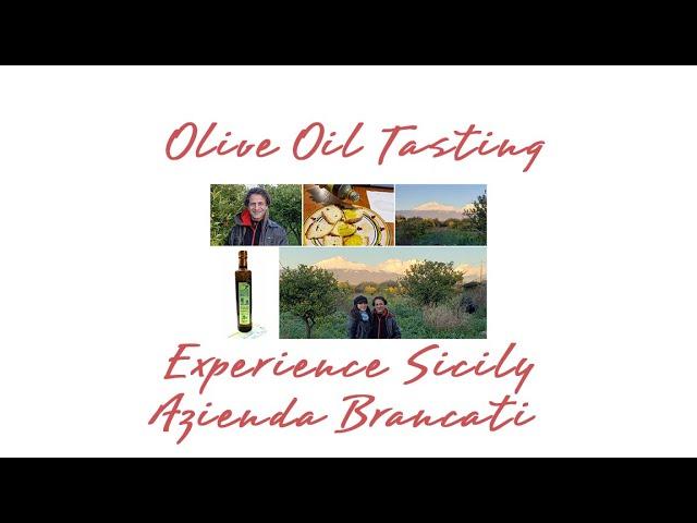 Olive Oil Tasting Led by Experience Sicily and Azienda Brancati