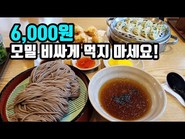 6,000원 판모밀 4,000원 만두! 자가제면 모밀부터 수제만두까지 여름에 무조건 가봐야 할 착한 가격의 모밀 맛집