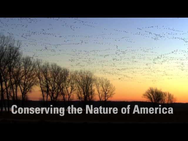 This is the U.S. Fish & Wildlife Service