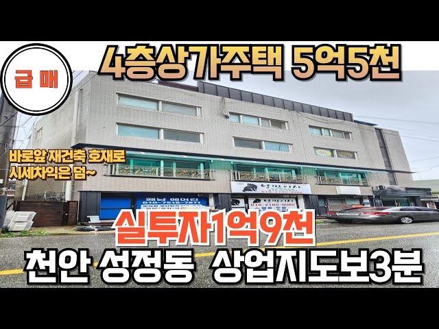 NO. 163 천안성정동4층상가주택급매 5억5천 실투2억초반 주인세대거주하며 상가운영가능