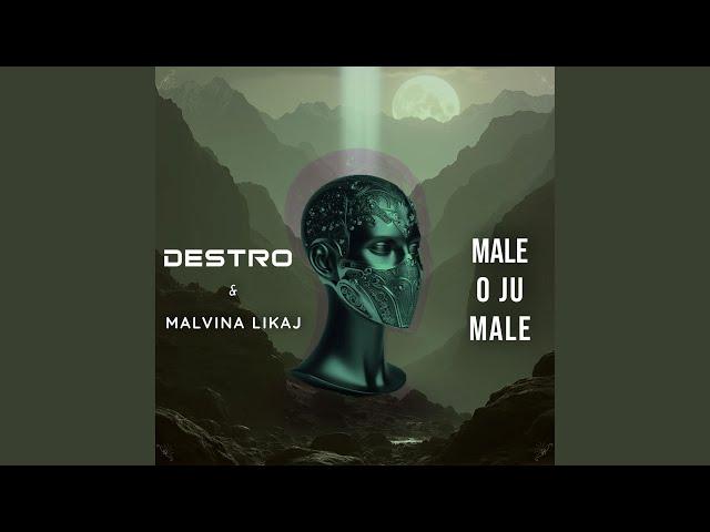 Male o Ju Male (feat. Malvina Likaj) (Radio Edit)