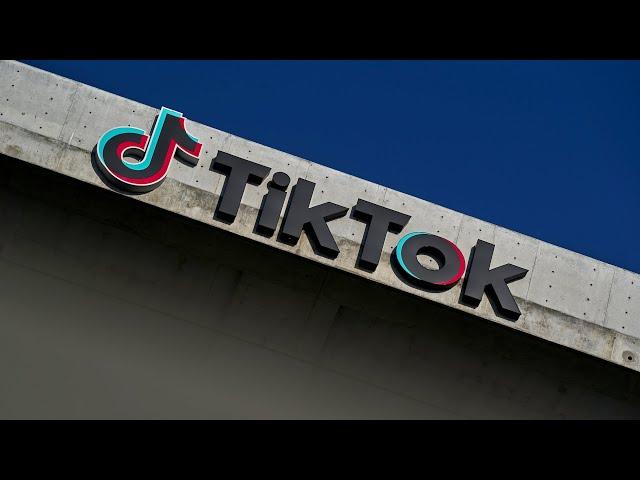 TikTok's Growing Advertising Base