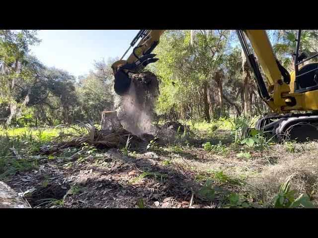 Before you buy a CAT 305 you should watch this!