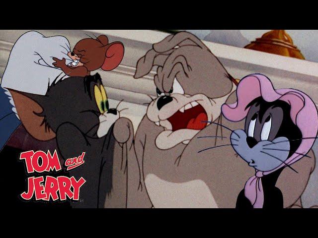 Tom & Jerry | Tom's Rivals | @GenerationWB