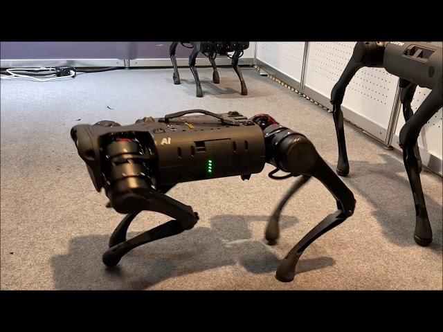 Four Leg Robot Now You Can Buy ,Unitree Robotics dog like Boston Dynamic  UNBELIEVABLE ,MUST WATCH