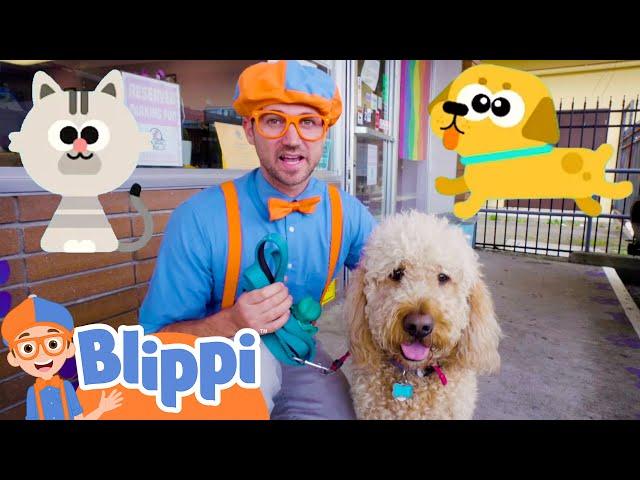 Blippi Cares For Pets At The Animal Shelter! | Fun and Educational Videos for Kids