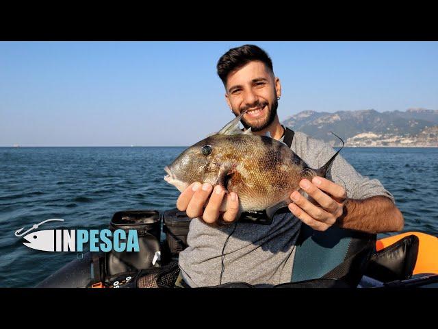 GREY TRIGGERFISH FROM THE BELLY BOAT | HOW TO CATCH | lots of fishing fun with @FISH iT