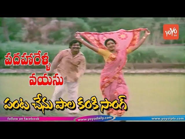 Padaharella Vayasu Movie Songs | Panta Chelo Video Song | Sridevi | Chandra Mohan | YOYO TV Music