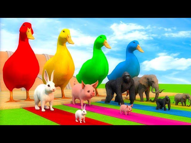 Duck cartoon vs gorilla vs rabbit vs pig vs elephant play the game get the right animal