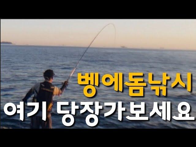 벵에돔낚시의 섬 거제 이수도 괜찮은 녀석들이 우글거리는 곳 손맛 마릿수 보장되는 11번포인트