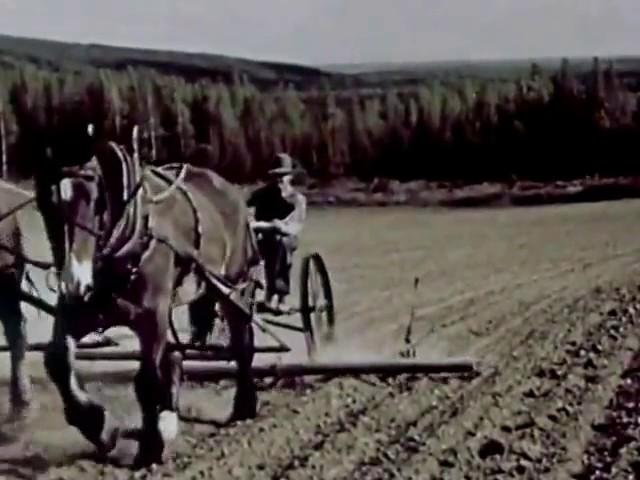 Alaska  A Modern Frontier   1948 Color Documentary