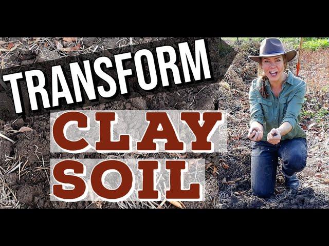 How Do I Improve Heavy Clay Soil in the Garden?