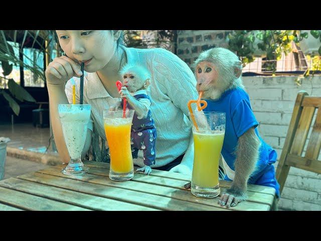 Bibi invites Lala and Mom to go to the fruit smoothie shop!