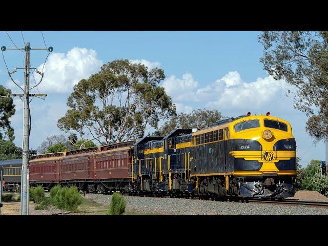 Blue & Gold EMD's in the Goulburn Valley! (SRHC's Tenex Rail Charter to Tocumwal) | B74, P23, T382