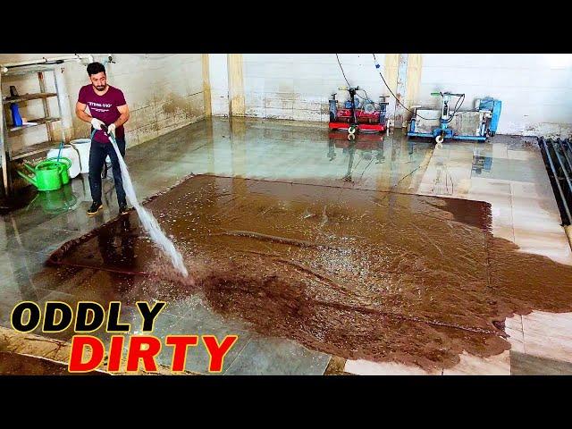 Sewer overflow - lncredible dirty carpet cleaning satisfying ASMR