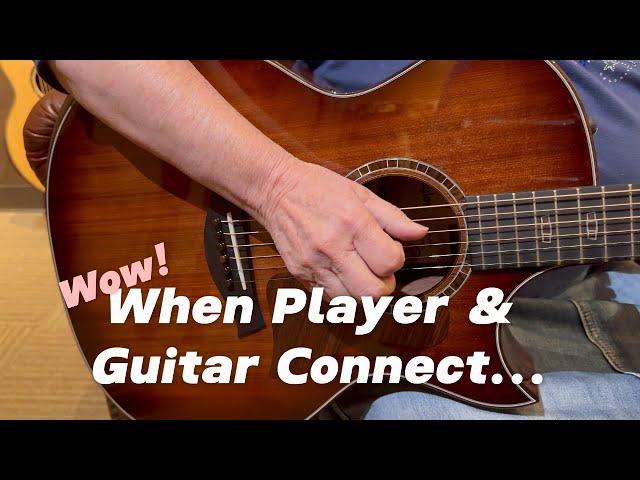 WE STOPPED!  Guitar Store Tour ** Palen Music ** Taylor, McPherson, Gibson, Breedlove, Martin +++