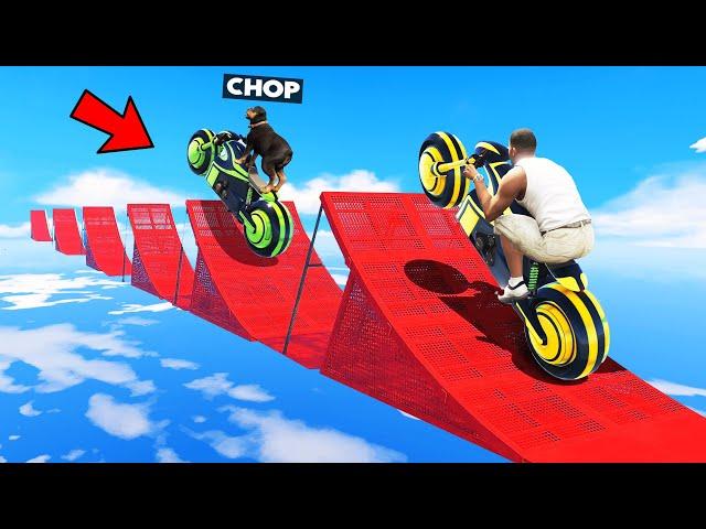 GTA 5 CHOP AND FROSTY PLAY MULTIPLE RAMP PARKOUR