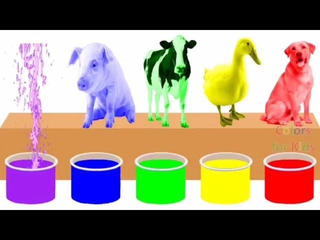 Farm Animals Bathing Colors Fun | Learn Colors for Children Kids Toddlers To Learn With Animals