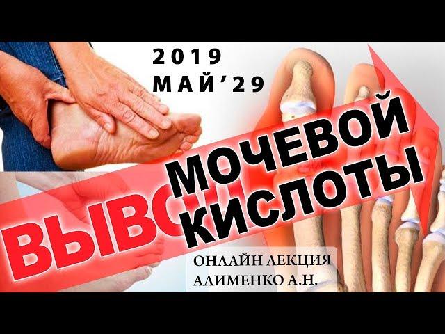 Вывод мочевой кислоты, Ксенобиотики и Янтарная кислота. Алименко А.Н. (29.05.2019)