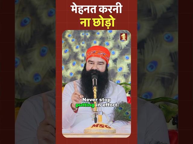 Never Stop Working Hard | Saint Dr. MSG Insan