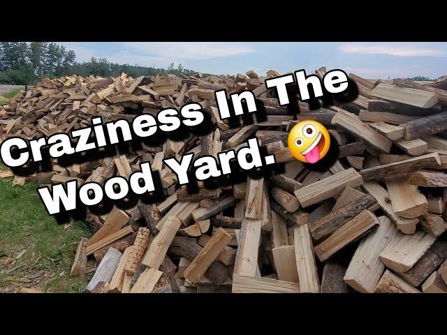 Craziness In The Wood Yard!!..