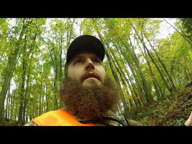 Troy's Button Buck-WV Anterless Season 2018