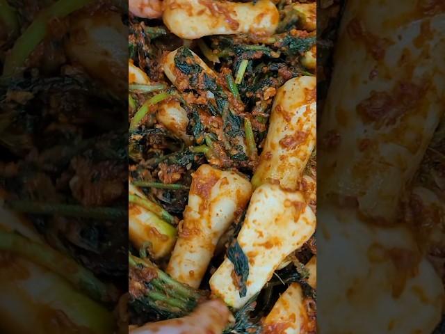침샘 무장해제시키는 알타리 김치 #김치 #알타리 #비법 #recipe #cooking #고파서 #한국음식