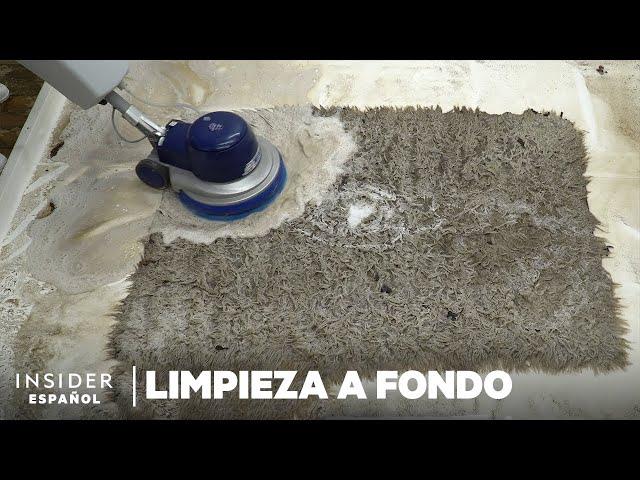 Cómo se limpia a fondo una alfombra llena de gusanos | Limpieza a fondo | Insider