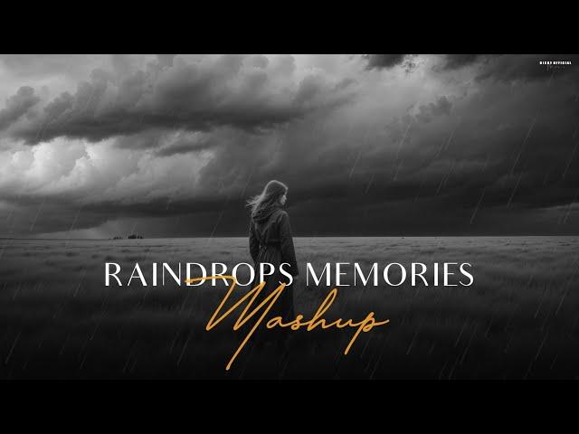 Raindrops Memories Mashup -  Monsoon Chillout 2024 | BICKY OFFICIAL